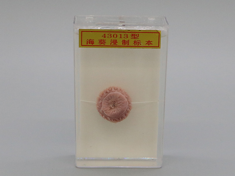??茦?biāo)本1.jpg ??茦?biāo)本1.jpg